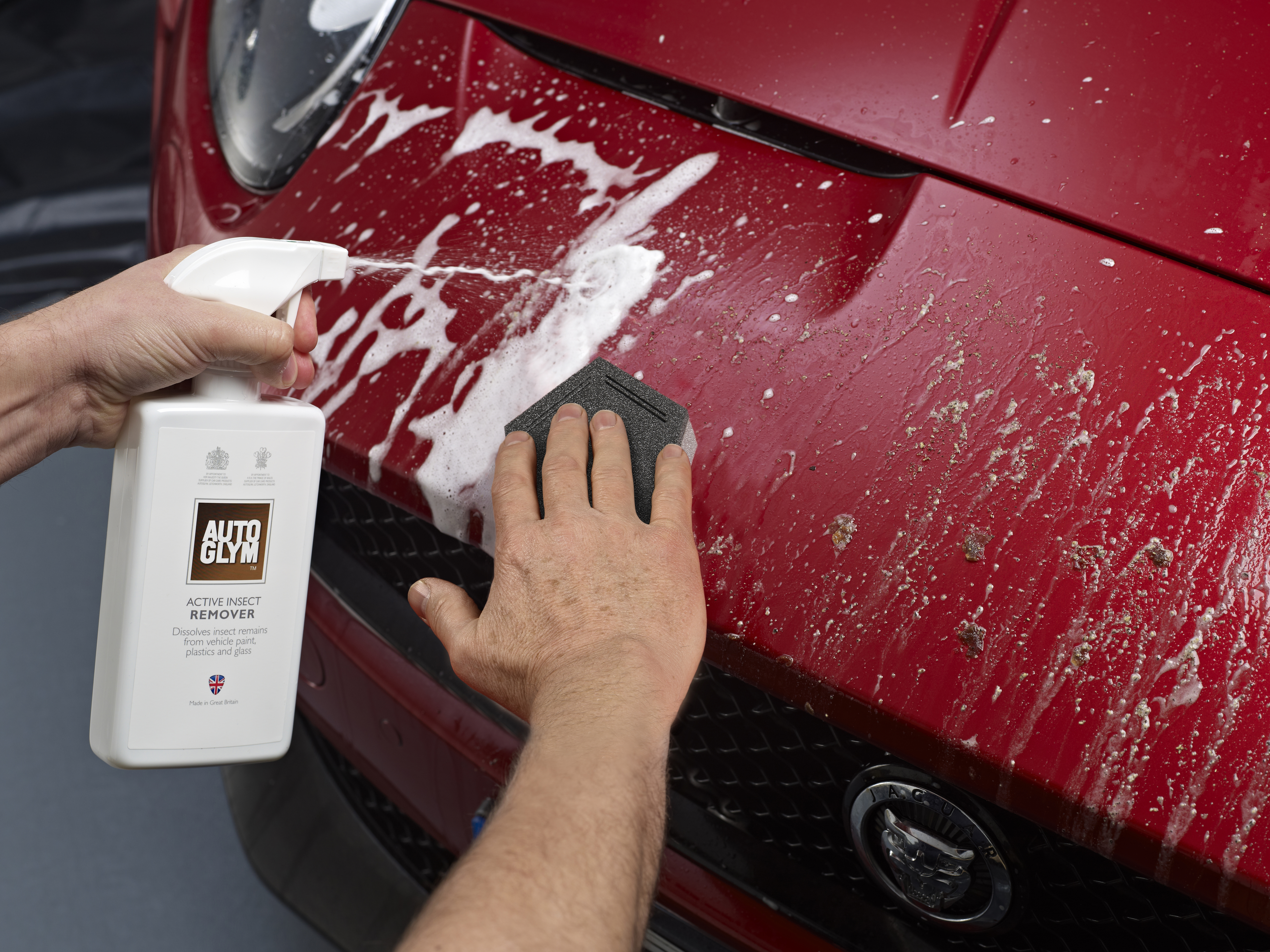 Autoglym Active Insect Remover